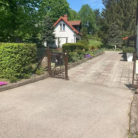 Magnolia * Kruklanki